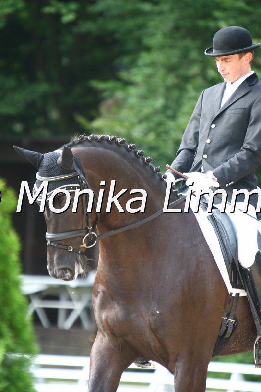 009M4408_Coco Procol Harum_Dresspf_L.JPG